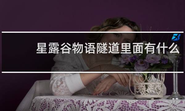 星露谷物语隧道里面有什么