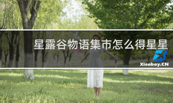 星露谷物语集市怎么得星星