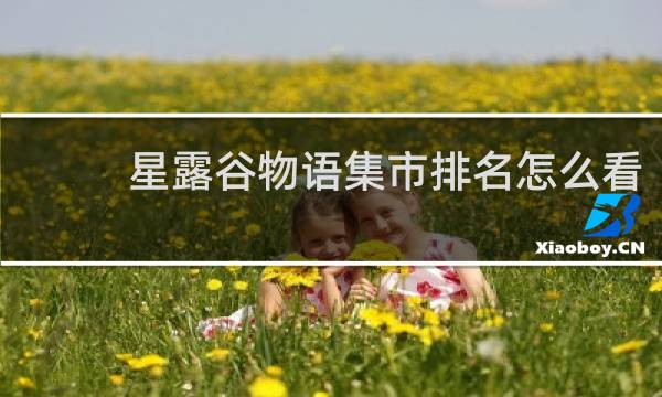 星露谷物语集市排名怎么看