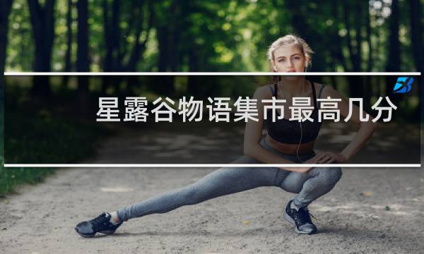 星露谷物语集市最高几分