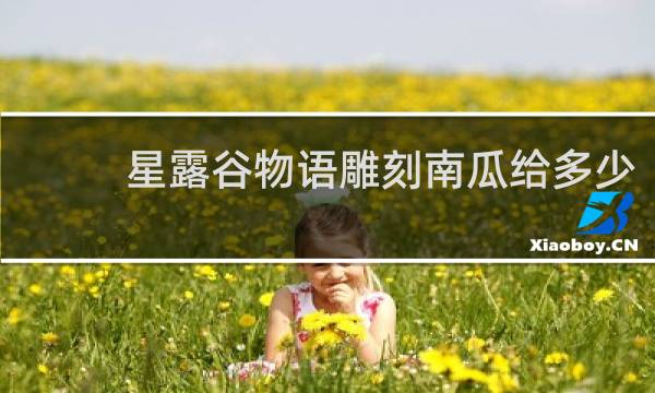 星露谷物语雕刻南瓜给多少