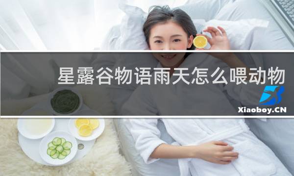 星露谷物语雨天怎么喂动物