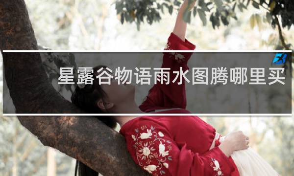 星露谷物语雨水图腾哪里买