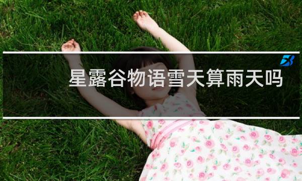 星露谷物语雪天算雨天吗