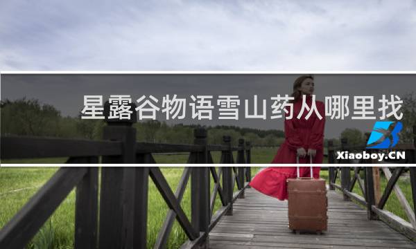 星露谷物语雪山药从哪里找