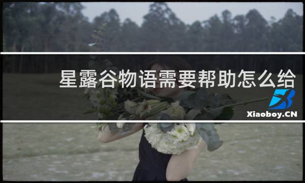 星露谷物语需要帮助怎么给