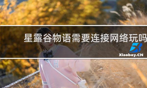 星露谷物语需要连接网络玩吗