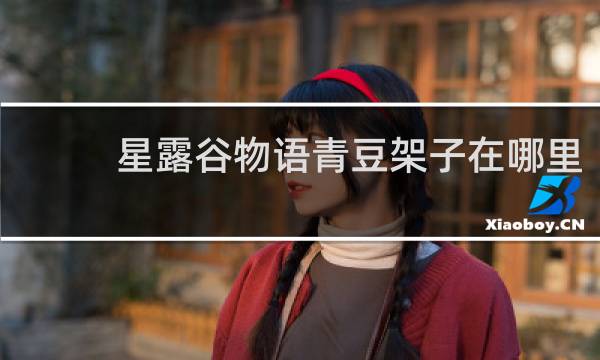 星露谷物语青豆架子在哪里