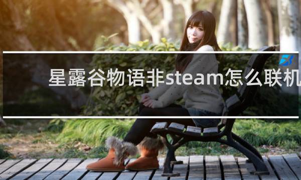 星露谷物语非steam怎么联机