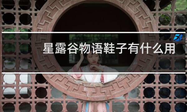 星露谷物语鞋子有什么用