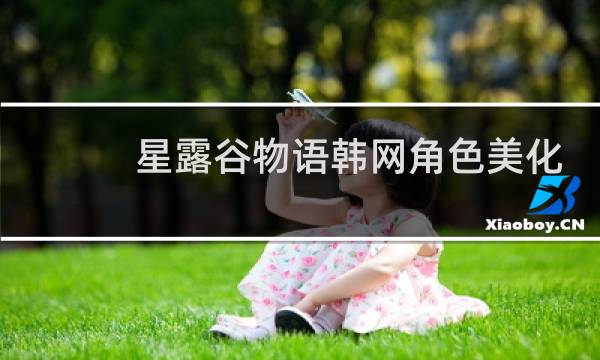 星露谷物语韩网角色美化