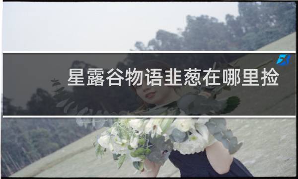星露谷物语韭葱在哪里捡