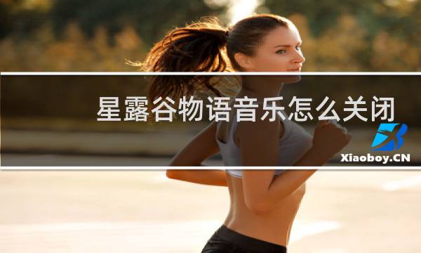 星露谷物语音乐怎么关闭