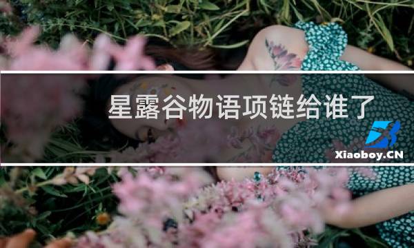 星露谷物语项链给谁了