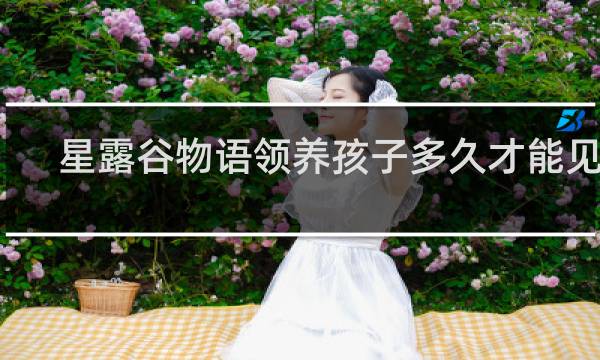 星露谷物语领养孩子多久才能见到