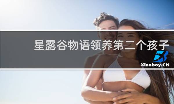 星露谷物语领养第二个孩子