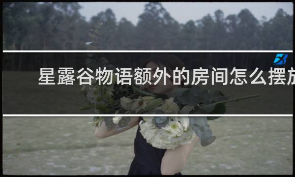 星露谷物语额外的房间怎么摆放