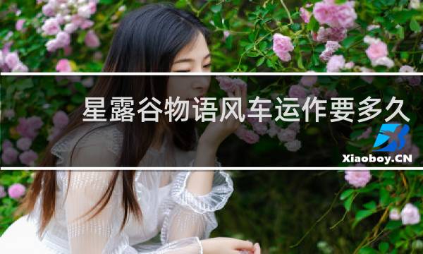 星露谷物语风车运作要多久