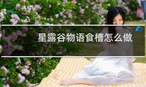 星露谷物语食槽怎么做