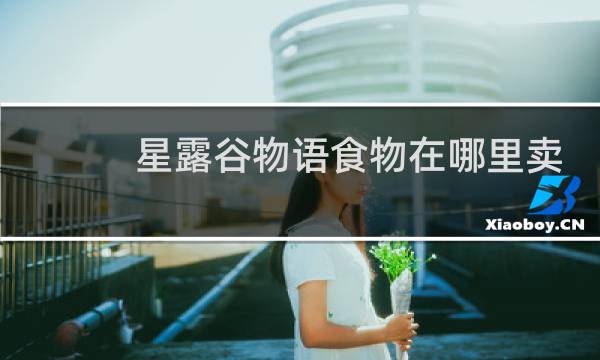 星露谷物语食物在哪里卖