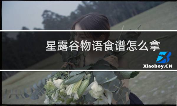 星露谷物语食谱怎么拿