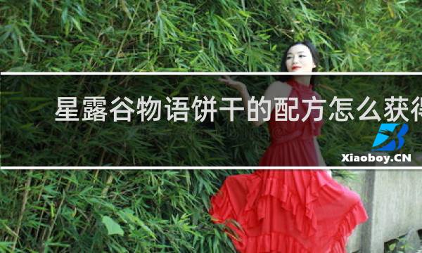 星露谷物语饼干的配方怎么获得