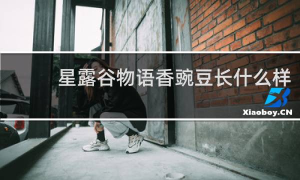 星露谷物语香豌豆长什么样