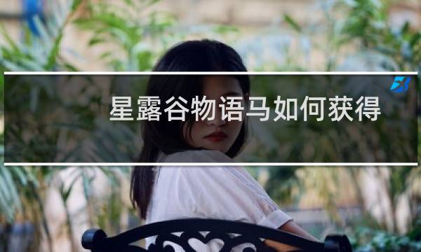 星露谷物语马如何获得