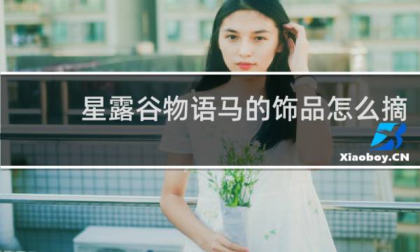 星露谷物语马的饰品怎么摘