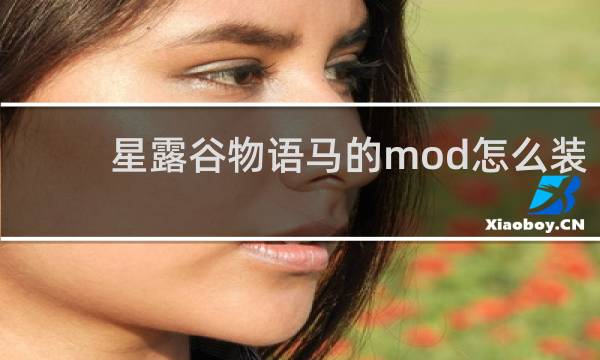 星露谷物语马的mod怎么装