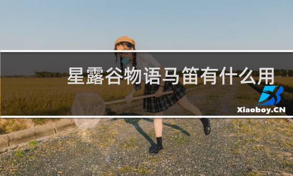 星露谷物语马笛有什么用