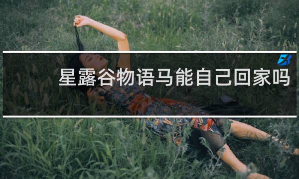 星露谷物语马能自己回家吗