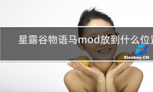 星露谷物语马mod放到什么位置