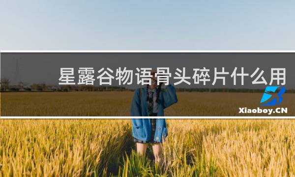 星露谷物语骨头碎片什么用