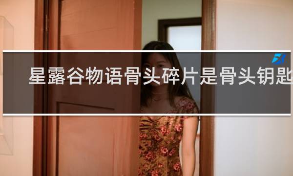 星露谷物语骨头碎片是骨头钥匙吗