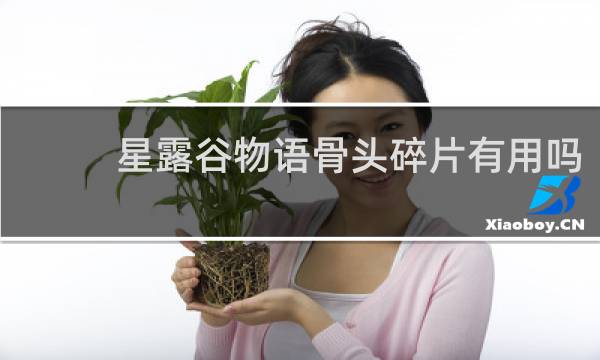 星露谷物语骨头碎片有用吗