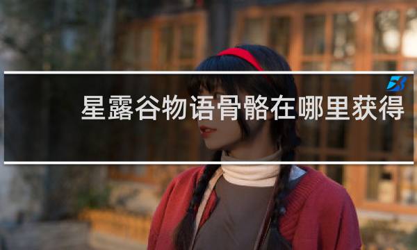 星露谷物语骨骼在哪里获得