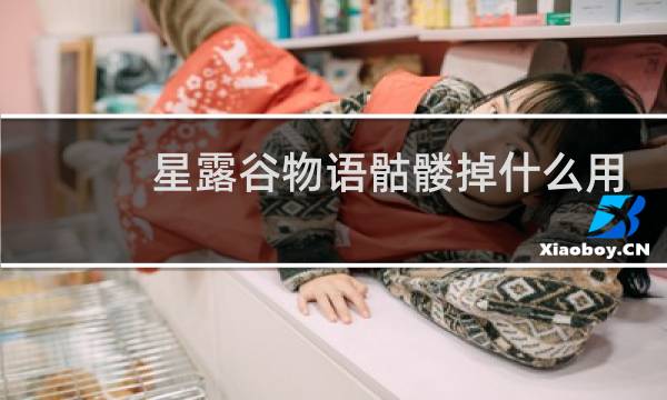 星露谷物语骷髅掉什么用