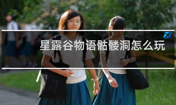 星露谷物语骷髅洞怎么玩