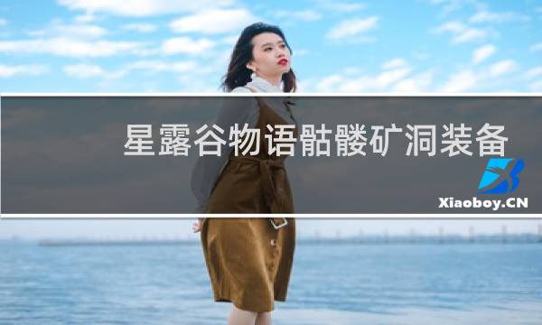 星露谷物语骷髅矿洞装备