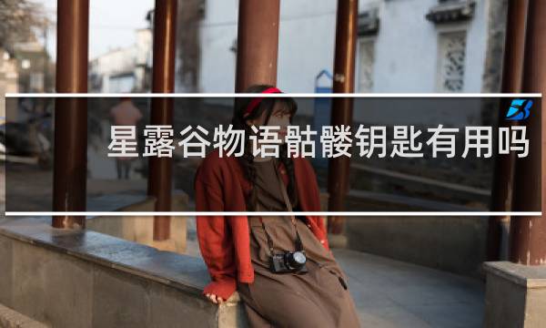 星露谷物语骷髅钥匙有用吗