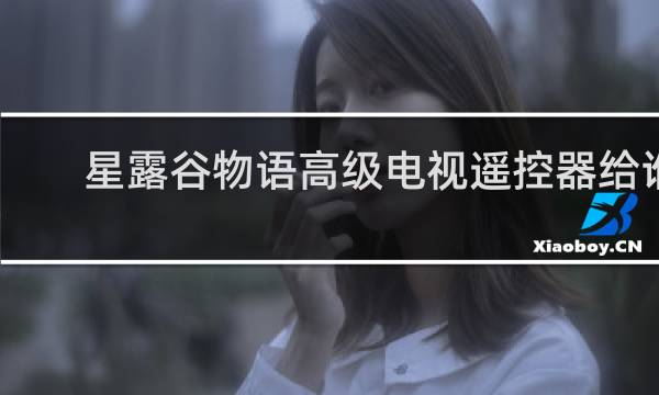星露谷物语高级电视遥控器给谁