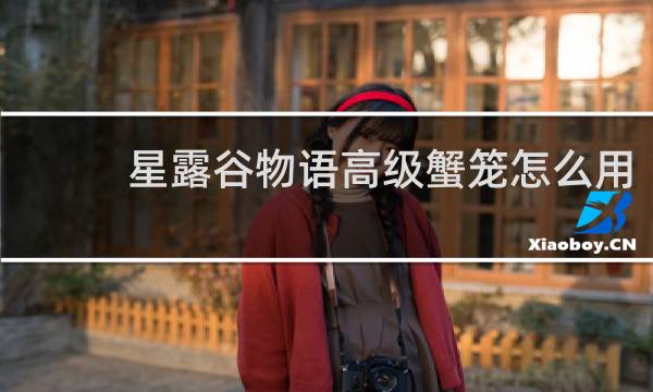 星露谷物语高级蟹笼怎么用