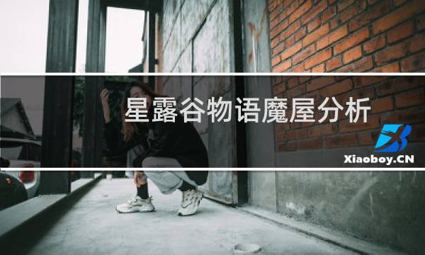 星露谷物语魔屋分析