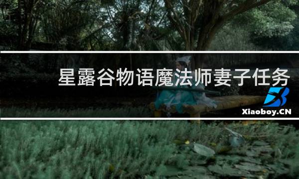 星露谷物语魔法师妻子任务