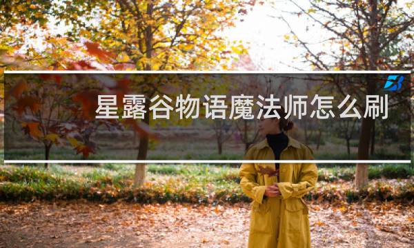 星露谷物语魔法师怎么刷