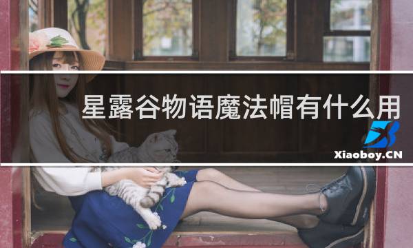 星露谷物语魔法帽有什么用