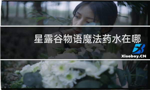 星露谷物语魔法药水在哪