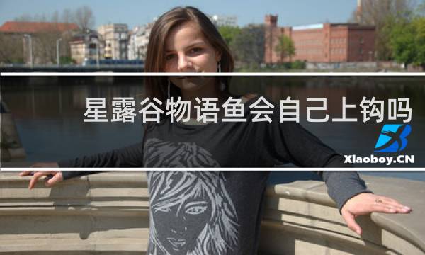 星露谷物语鱼会自己上钩吗