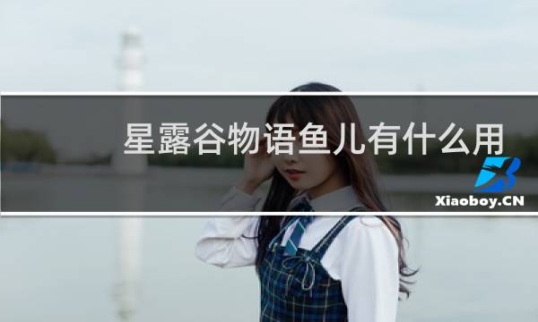 星露谷物语鱼儿有什么用